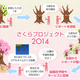 桜の成長をオンラインで共有　参加型「さくらプロジェクト2014」