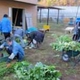 Machida City Helps Corporations Start Farming on Unused Land