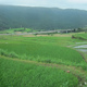 Kumamoto Prefecture Accelerating Integration of Farmland