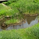 Sasayama City Begins Subsidizing Grass-Root Activities to Protect and Restore Nature
