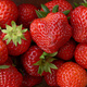 Clean Energy to Help Grow Strawberries
