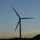 Tohoku Electric Power to Expand Purchasing of Wind Power