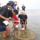 Okinawa Coral Reef Conservation and Utilization Effort Wins 2013 Environmental  Education Award