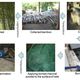 Chukyo University Proves Potential of Bamboo Charcoal to Adsorb and Remove Radioactive Substances
