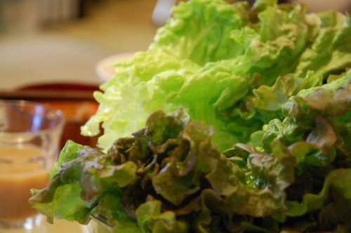Photo: Fresh lettuce