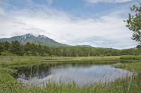 Japan's Environment Ministry Assesses Economic Value of Wetland Ecosystem Services