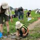 Aleph's Eco-Friendly Rice Paddy Project Focuses on Biodiversity Conservation