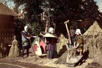 Biomass Energy Powered the Edo Period
