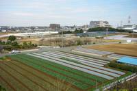 Greenery to Citizens! -- Urban Agriculture in Yokohama City, Kanagawa Prefecture