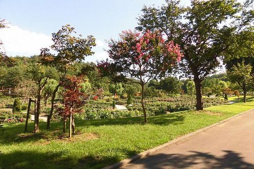 Photo: Kawanishi Dahlia Garden