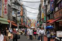 The Growing Senior Population in Japan's Metropolitan Areas: Challenges for Japan, Hints for the World