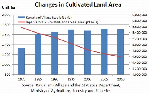 Figure: Changes in Cultivated Land Area