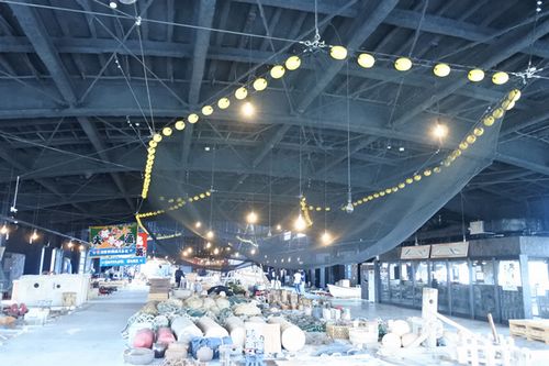 Photo: Etchu-type set net system hanging from the ceiling