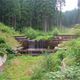 'CO2 Diet' Timber Dam Made of Japanese Cedars Recognized