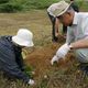 Tree Planting Program Underway to Offset Carbon Emissions from Cars in Hokkaido