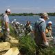 'BYOS Clean Network' Conducts First Removal of Invasive Aquatic Plants