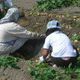 臼杵市　地元農家が給食の食材の３割を供給