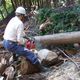 三菱UFJリースと住友商事、岐阜県で森林・林業再生プロジェクトをスタート