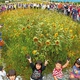 Kao Launches Project to Send One Million Flowers to Tohoku