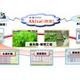 富士通グループ 国内最大級の低カリウム植物工場の実証事業開始