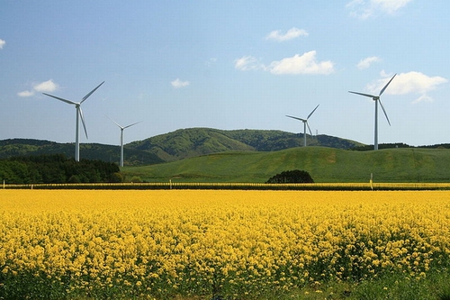 Yokohama_wind_farm