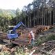 三重県林業研究所、森林管理システムe-forest開発へ