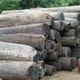 違法伐採問題に対する取組の意義と課題 ― 日本を含むすべての森林の森林管理のガバナンスにも関連して