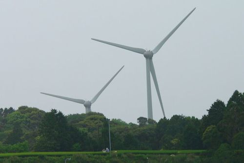 写真：浜岡原子力発電所近辺の風力発電
