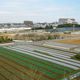 市民に緑地を！　――神奈川県横浜市の都市農業