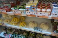 住民出資のお店で地域の生活を守る：日本各地の取り組み