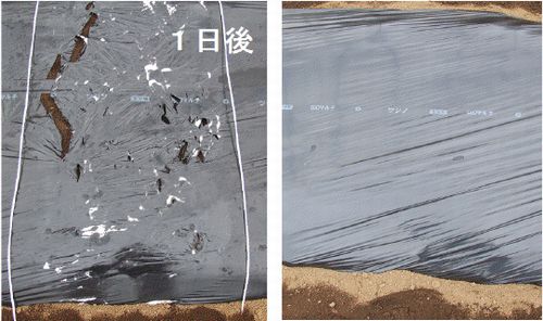 JFS/Biodegradable Plastic-Decomposing Enzymes Successfully Mass Produced