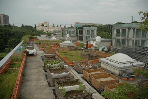 JFS/CNES roof top garden