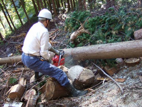 JFS/Mitsubishi UFJ Lease and Sumitomo Corp. Start Forestry Revival Project in Gifu