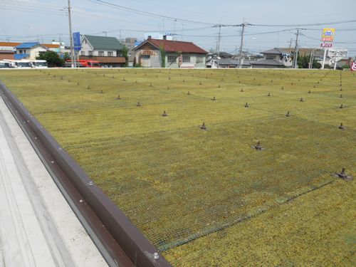 JFS/Saitama Prefecture Introduces First "Green Roof" Convenience Store Project