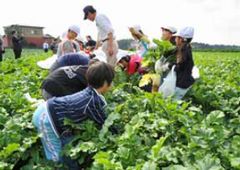 JFS/Ito-Yokado to Expand Closed-Loop Agriculture by Seven Farm