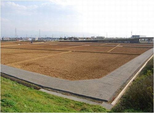 JFS/Toyama Prefecture Completes Restoration Project for Cadmium-Contaminated Rice Paddies along Jintsu River