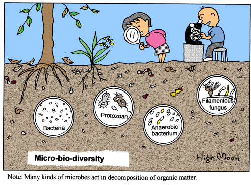 Micro-bio-diversity