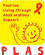 特定非営利活動法人エイズ孤児支援NGO・PLAS